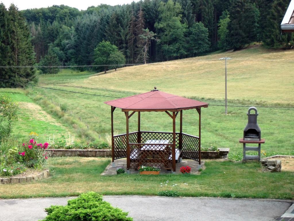 Gite Les Hirondelles Пломбьер-ле-Бен Экстерьер фото